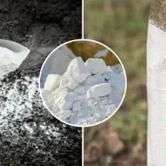 Wapno hydratyzowane zastosowanie: rozsypywanie na ziemi, stos białych brył i bielenie pnia drzewa.