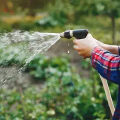 Osoba w koszuli w kratę podlewa ogród. Woda leci z węża, jakby to był podatek deszczowy, który trzeba zapłacić roślinom.