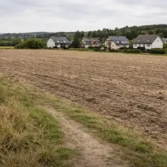 Pole uprawne obok nowych domów, symbolizujące zmianę działki rolnej na budowlaną.