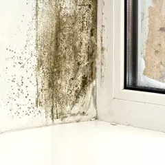 Grzyb na ścianie poczatek. Pleśń rozprzestrzenia się w rogu pokoju, blisko okna.