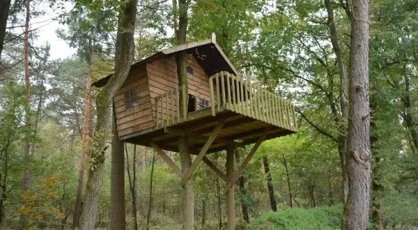 Drewniany domek na drzewie, wspaniały projekt dla dzieci, osadzony w lesie.
