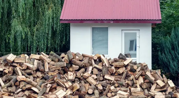 Duża sterta drewna opałowego przed białym budynkiem z czerwoną dachem. W tle wierzba i iglaki, podkreślające odległość od lasu.