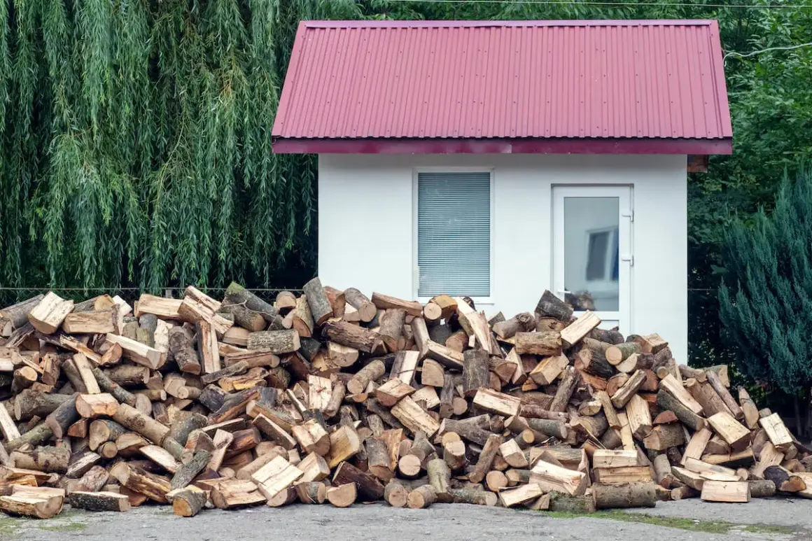 Duża sterta drewna opałowego przed białym budynkiem z czerwoną dachem. W tle wierzba i iglaki, podkreślające odległość od lasu.
